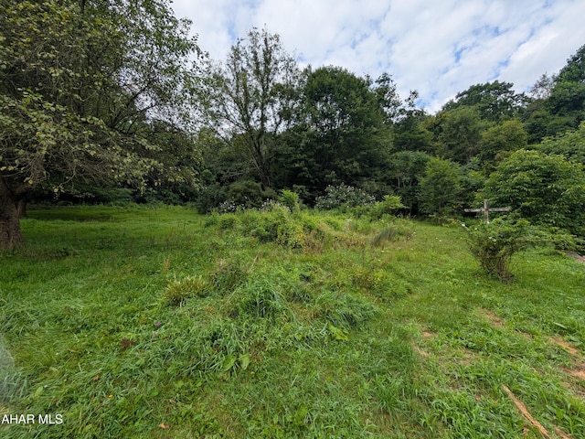 908 Baughman Hollow Rd, Tyrone, PA 16686 - photo 21