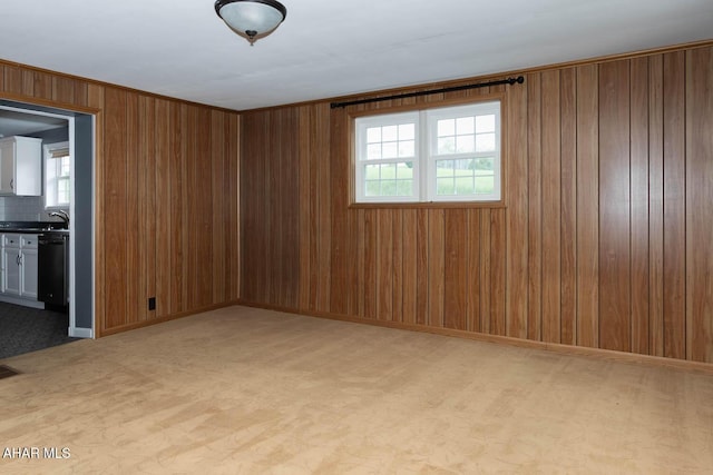 436 Kendrick Rd, Houtzdale, PA 16651 - spare room with wood walls, a sink, and light carpet