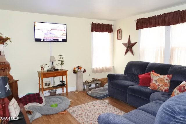 living room featuring hardwood / wood-style floors