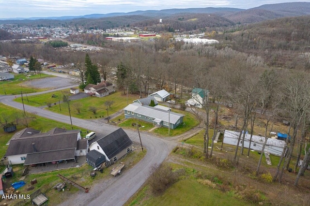 birds eye view of property with a mountain view