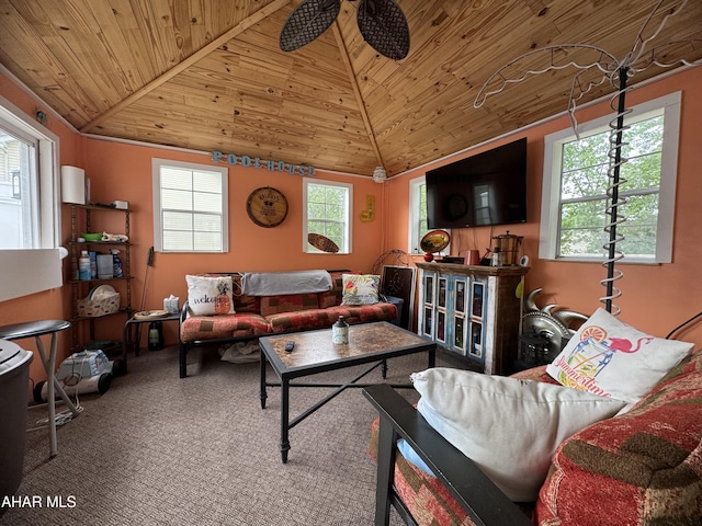 153 Frederick Rd, Altoona, PA 16602 - carpeted living room featuring wooden ceiling, lofted ceiling, healthy amount of natural light, and ceiling fan