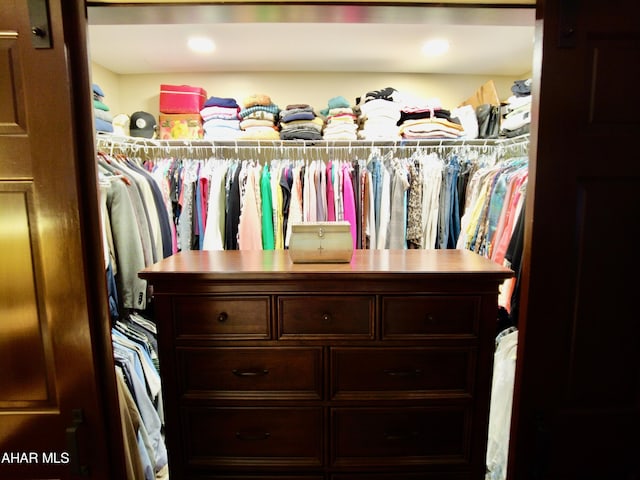 view of spacious closet