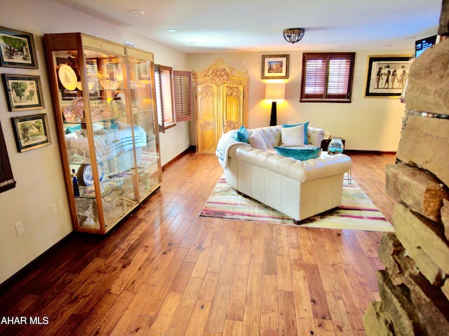 living room featuring light hardwood / wood-style flooring