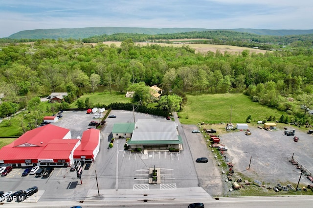 bird's eye view