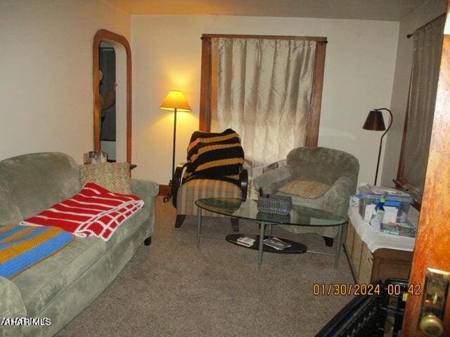 sitting room featuring carpet floors