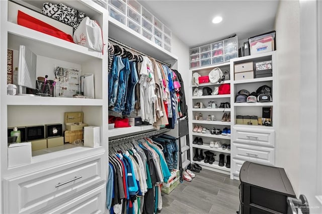 view of spacious closet