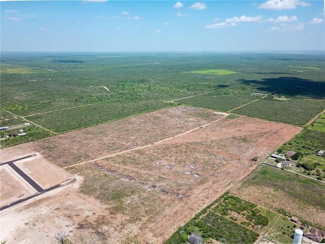 Listing photo 3 for TBD La Carla Rd, Rio Grande City TX 78582