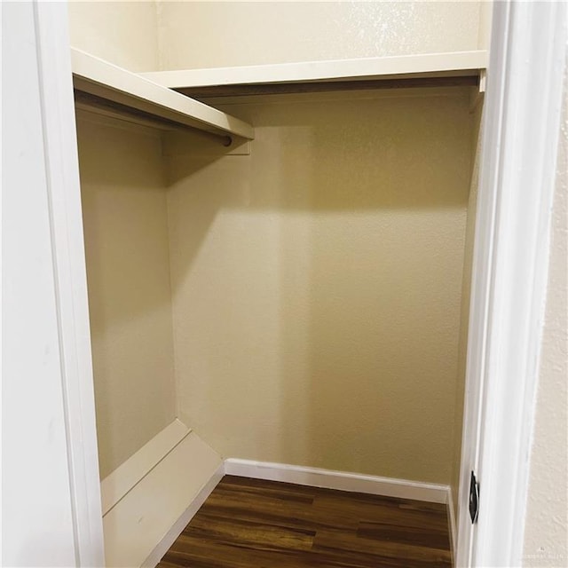 spacious closet with dark hardwood / wood-style floors