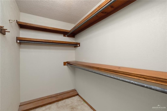 spacious closet with light carpet