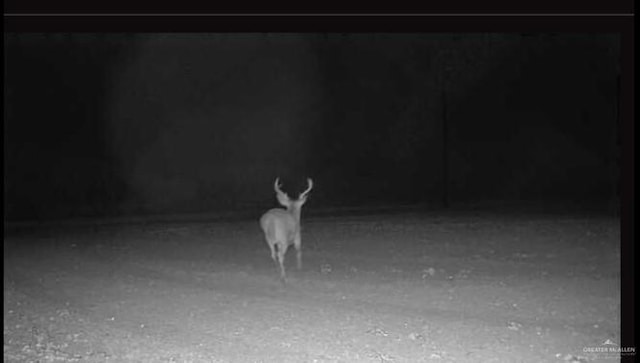 17303 La Coma Service Rd, Edinburg, TX 78581 - photo 6
