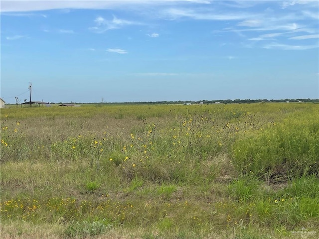 17303 La Coma Service Rd, Edinburg, TX 78581 - photo 2