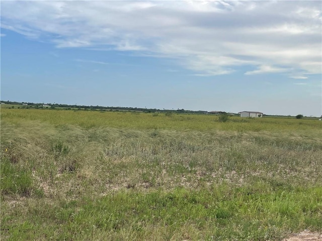 17303 La Coma Service Rd, Edinburg, TX 78581 - photo 3