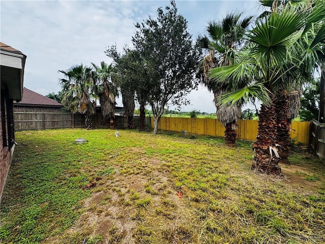 8635 Quietud St, Edinburg, TX 78542 - photo 24