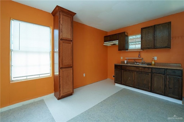 24834 Birch St, San Benito, TX 78586 - kitchen with under cabinet range hood, a sink, and dark brown cabinetry