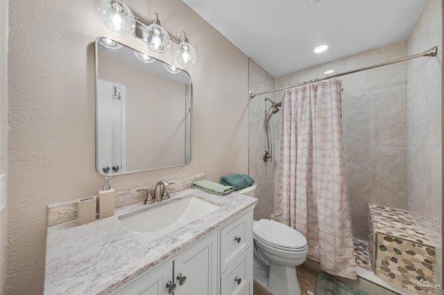 bathroom featuring vanity, toilet, and a shower with shower curtain