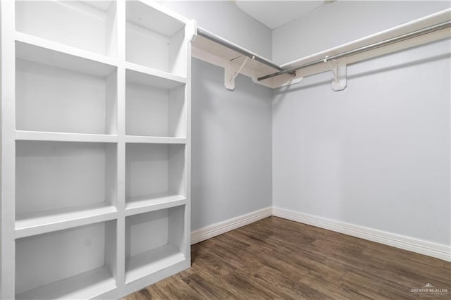 walk in closet featuring wood finished floors