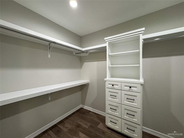 3807 Crimson St, Mission, TX 78574 - spacious closet featuring dark wood-style floors