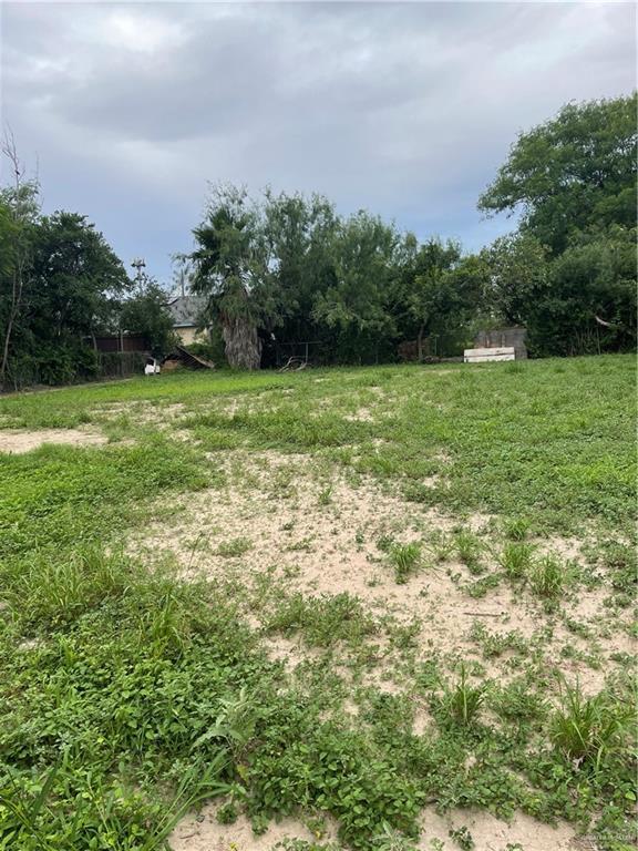 408 E Gardenia Ave, Hidalgo, TX 78557 - view of yard