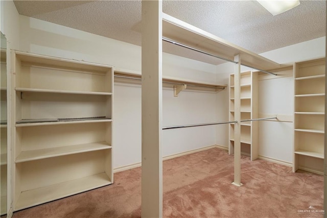 walk in closet with carpet flooring