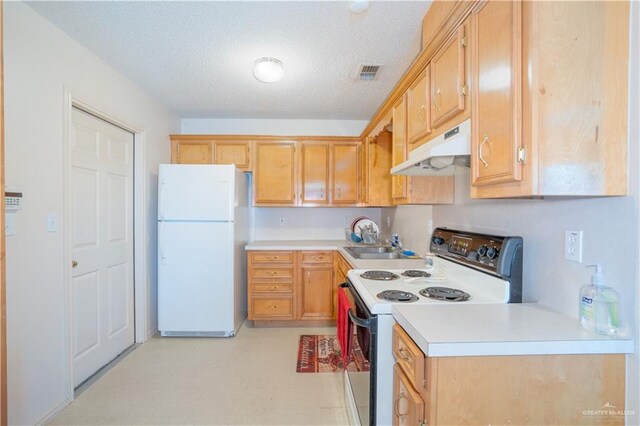 4481 Pedro Martinez St, Mercedes, TX 78570 - photo 13