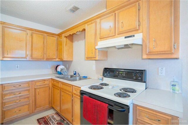 4481 Pedro Martinez St, Mercedes, TX 78570 - photo 14