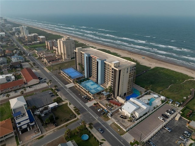 bird's eye view of unending shoreline