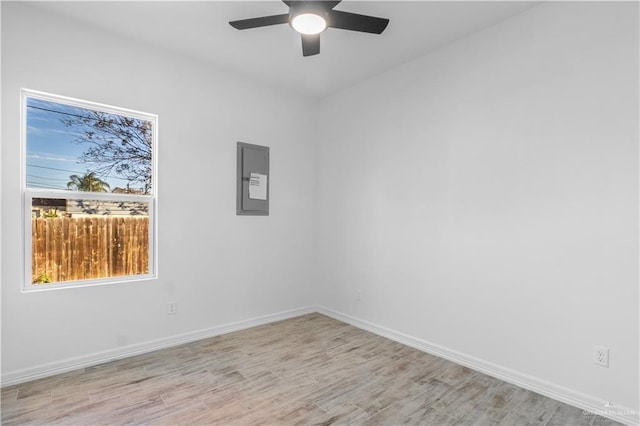 spare room with ceiling fan, light hardwood / wood-style floors, and electric panel