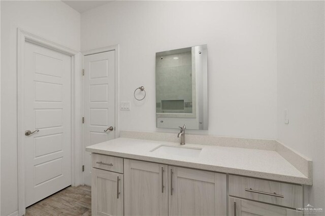 bathroom featuring wood finished floors and vanity