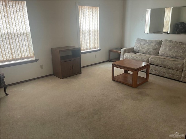 living room featuring light colored carpet