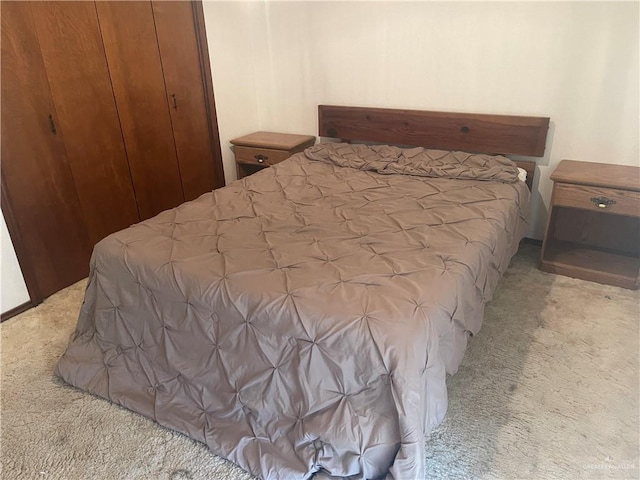 bedroom featuring carpet flooring and a closet