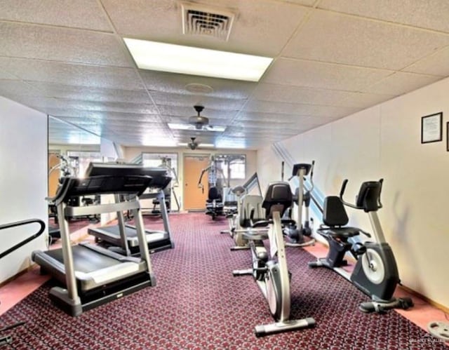 gym featuring a paneled ceiling, ceiling fan, and carpet floors