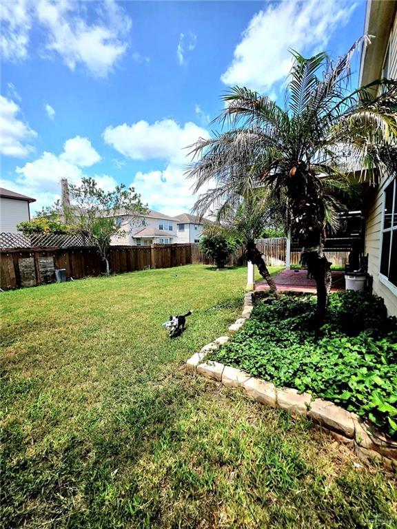 1920 Katherine Ave, Edinburg, TX 78539 - view of yard