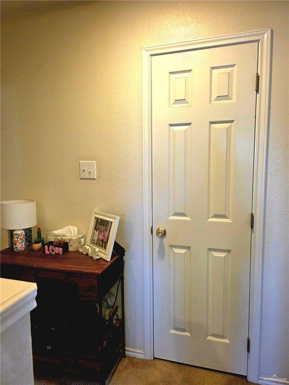 1920 Katherine Ave, Edinburg, TX 78539 - detailed view of carpet