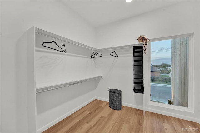 walk in closet with wood finished floors