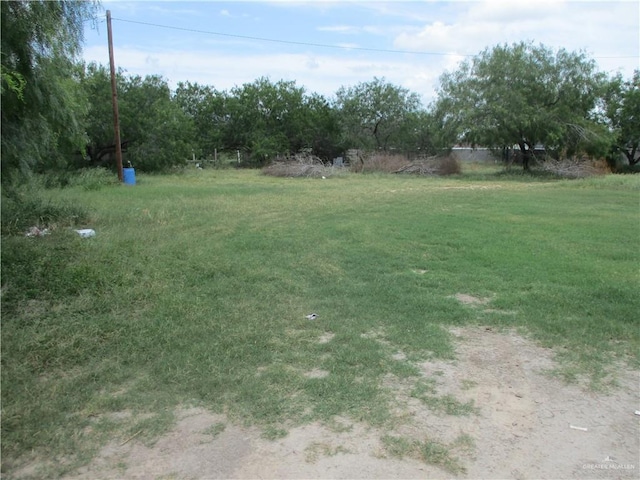 1303 W Mile 17 1/2 Rd, Edinburg, TX 78541 - view of yard