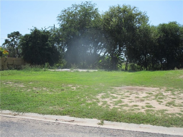 2710 E Pauline Ln, Edinburg TX, 78542 land for sale