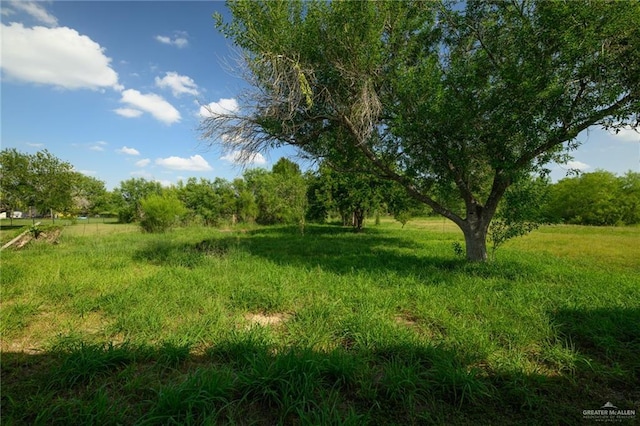 15220 Wilson Rd, Harlingen, TX 78552 - view of nature