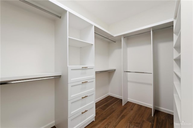 spacious closet featuring dark hardwood / wood-style flooring