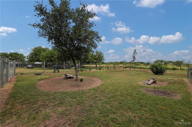 1617 N Monmack Rd, Edinburg, TX 78541 - view of yard