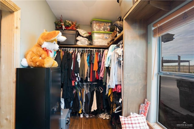 spacious closet with wood finished floors