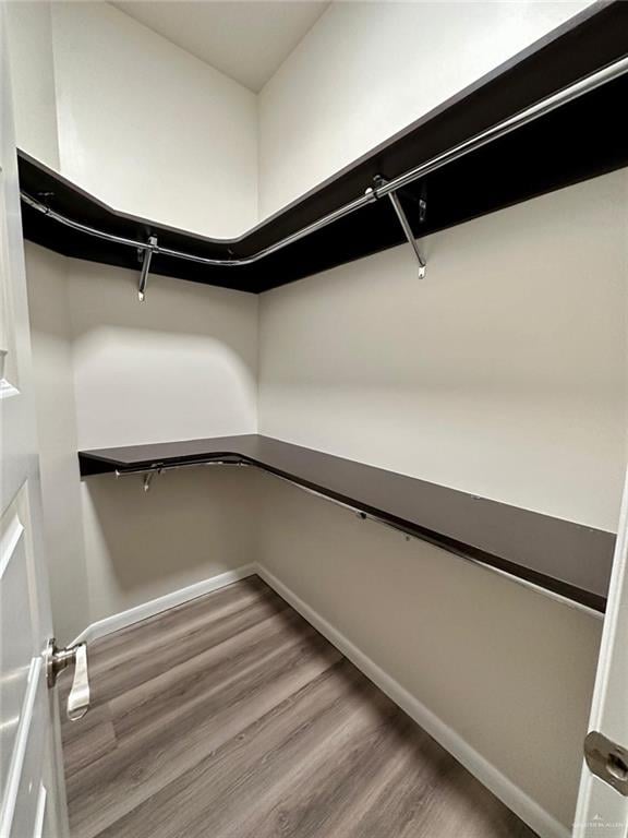 walk in closet featuring hardwood / wood-style flooring