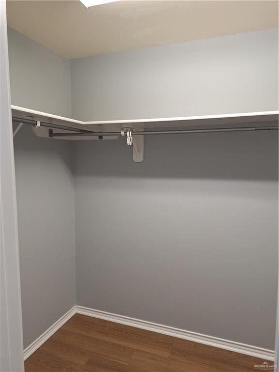 spacious closet featuring dark hardwood / wood-style floors