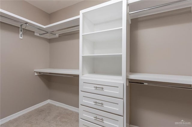 view of spacious closet