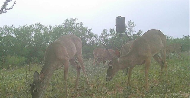 1809 County Road 287, Concepcion, TX 78349