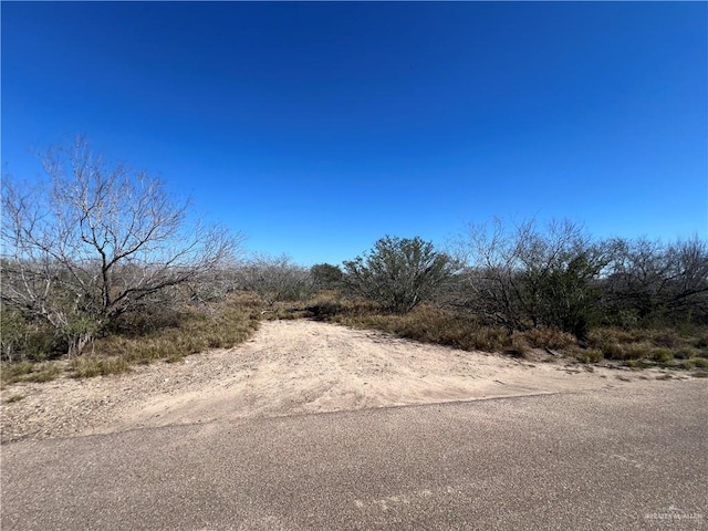 0 Los Frontones St, Rio Grande City TX, 78582 land for sale