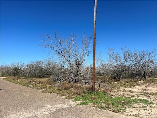 Listing photo 2 for 0 Los Frontones St, Rio Grande City TX 78582