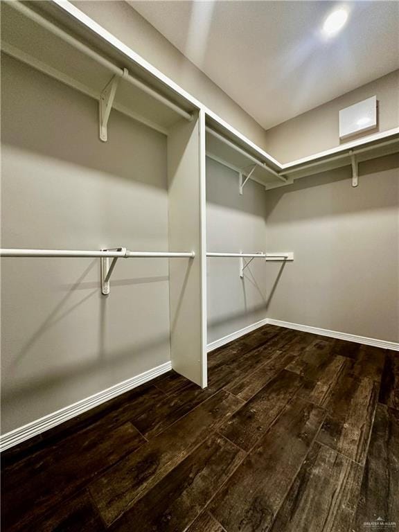 walk in closet featuring wood-type flooring