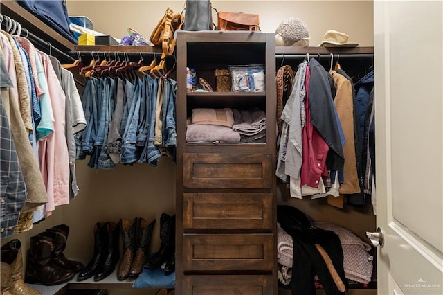 view of spacious closet