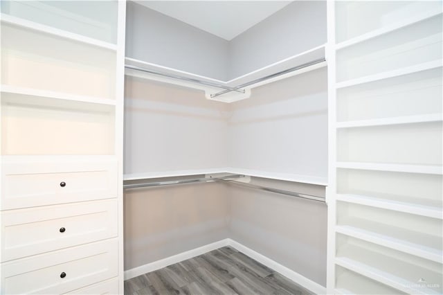 walk in closet featuring hardwood / wood-style flooring