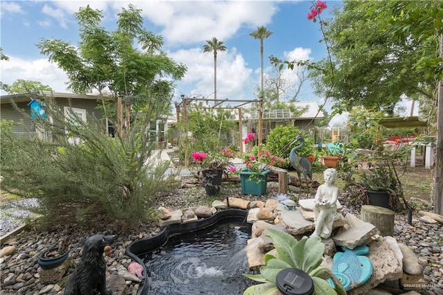 701 S Parker Rd S, La Feria, TX 78559 - view of yard